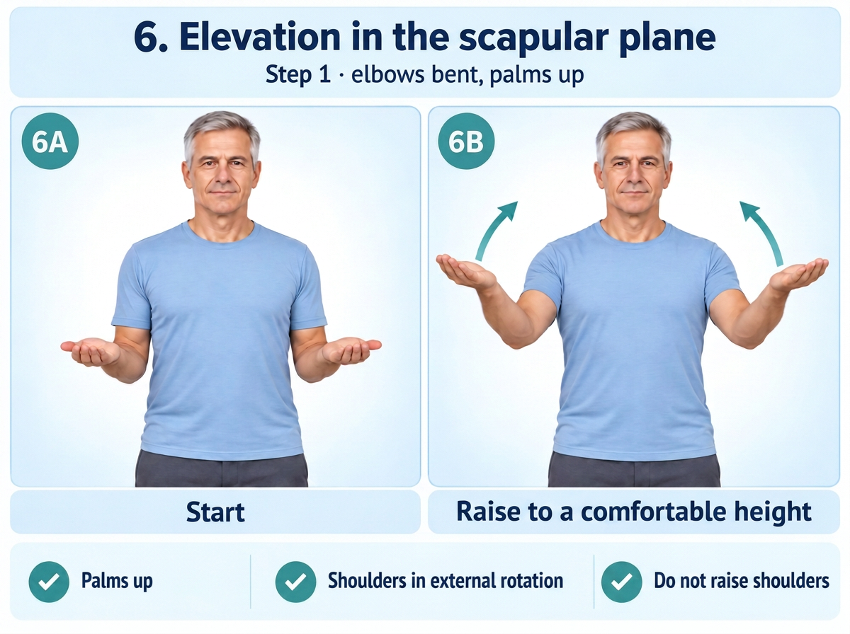 Scapular-plane elevation with bent elbows and palms up. Medical content prepared by: Tomasz Poboży - orthopaedic surgeon.