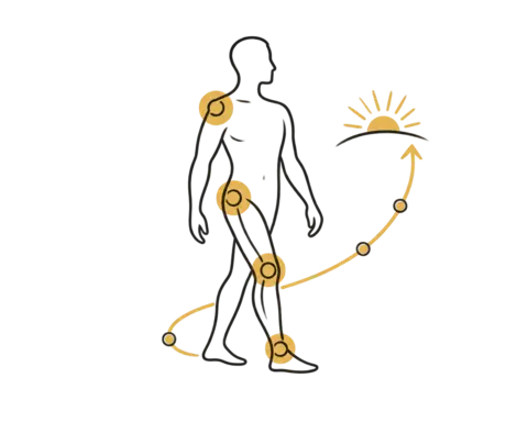 Diagram showing the main orthopaedic treatment areas. Medical content prepared by: Tomasz Poboży - orthopaedic surgeon.