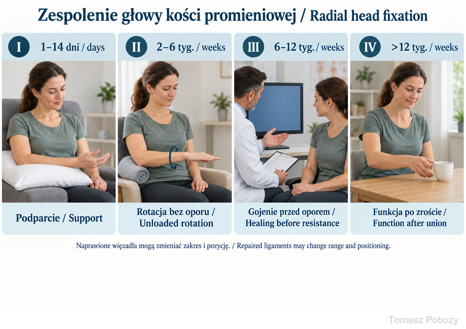 Radial head fracture fixation — rehabilitation protocol — phase-specific examples; clearance is required. Prepared by Tomasz Poboży — orthopaedic surgeon.