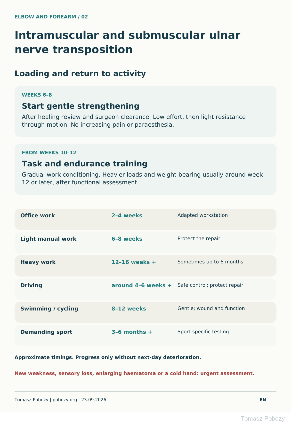 Rehabilitation after intramuscular and submuscular ulnar nerve transposition: progressive loading and return to activity. · board 2/2. Prepared by Tomasz Poboży — orthopaedic surgeon.