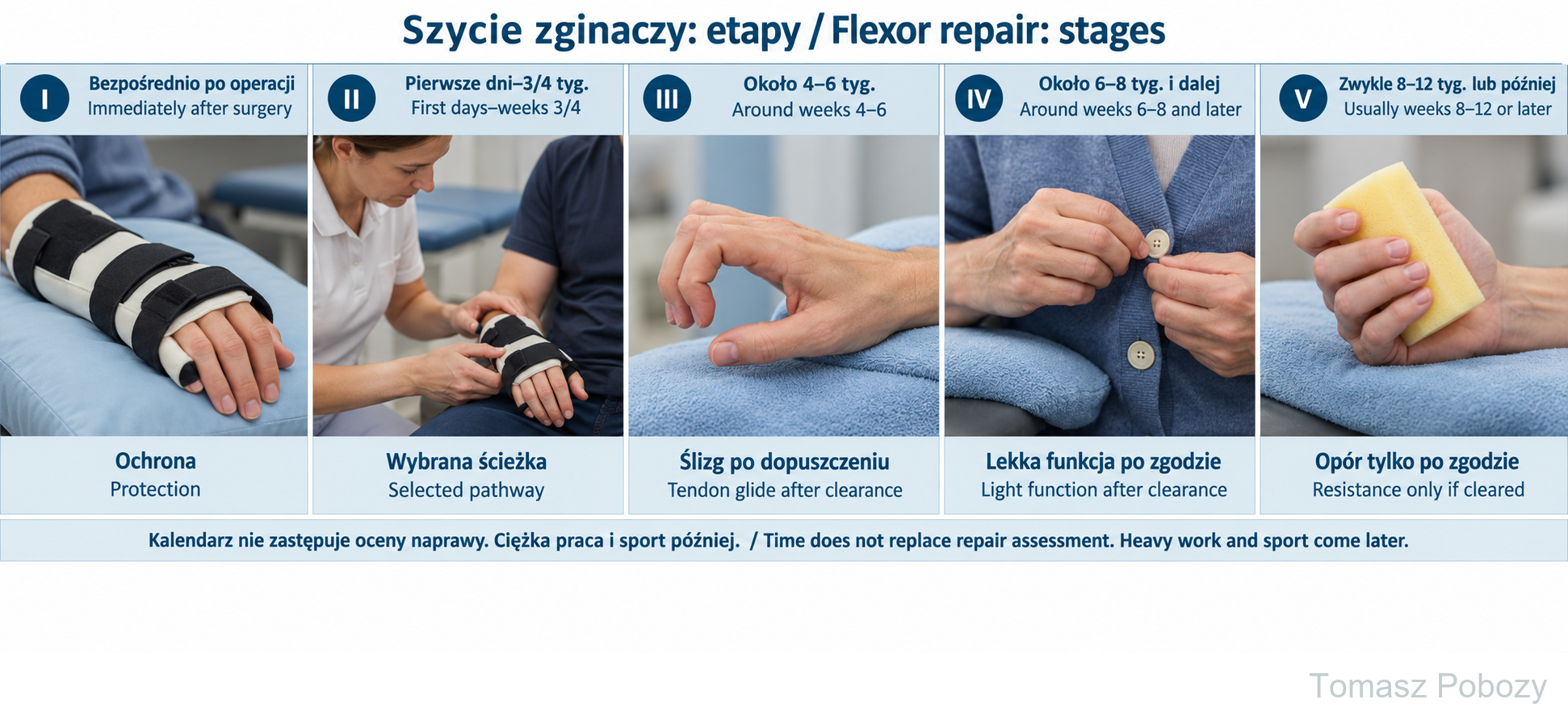 Postoperative rehabilitation: Flexor tendon repair: five phases with protection, selected movement, tendon glide, light function and later resistance. Prepared by Tomasz Poboży — orthopaedic surgeon.