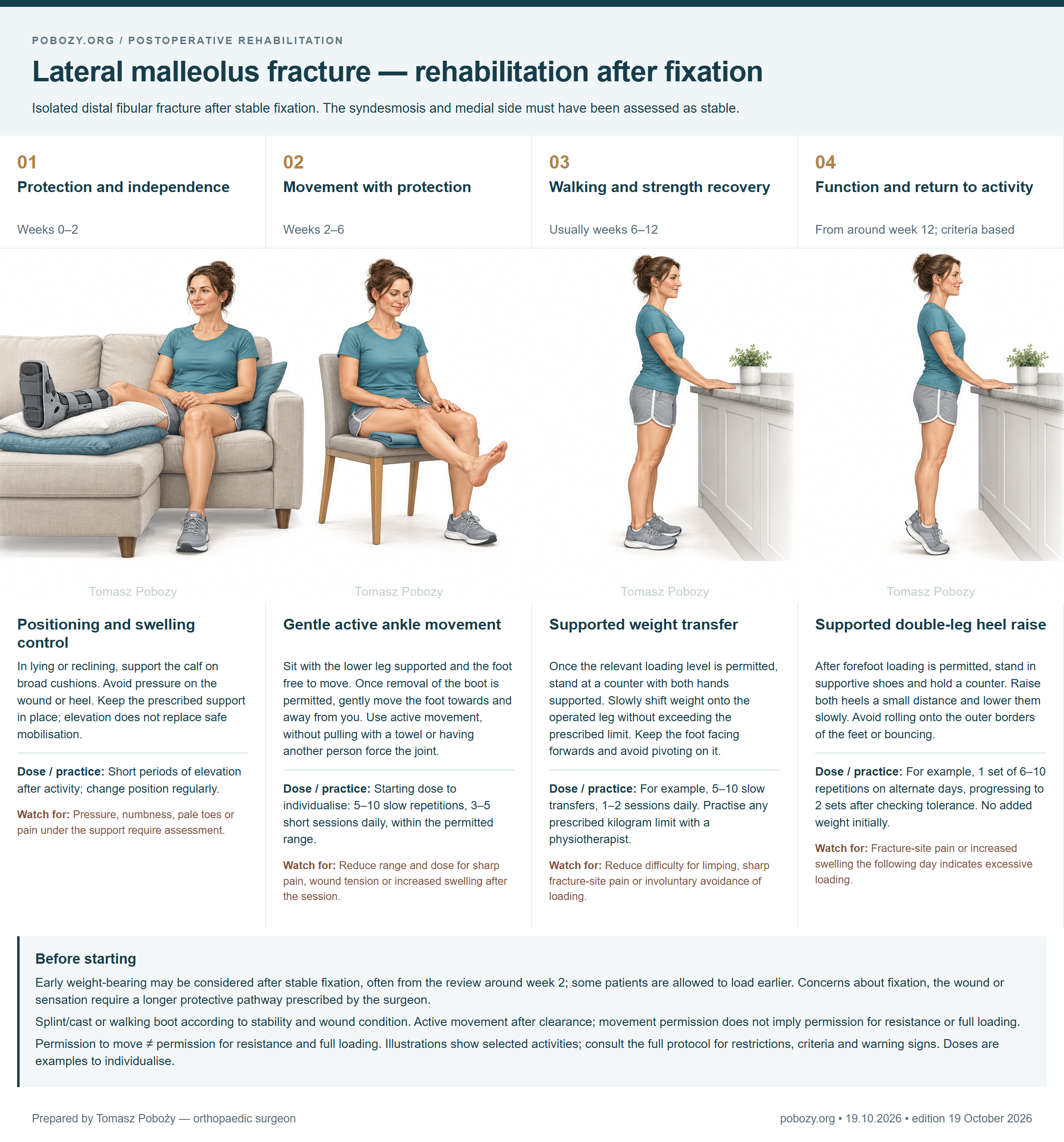 Lateral malleolus fracture — rehabilitation after fixation. Four phases: Positioning and swelling control, Gentle active ankle movement, Supported weight transfer, Supported double-leg heel raise. Prepared by Tomasz Poboży — orthopaedic surgeon.