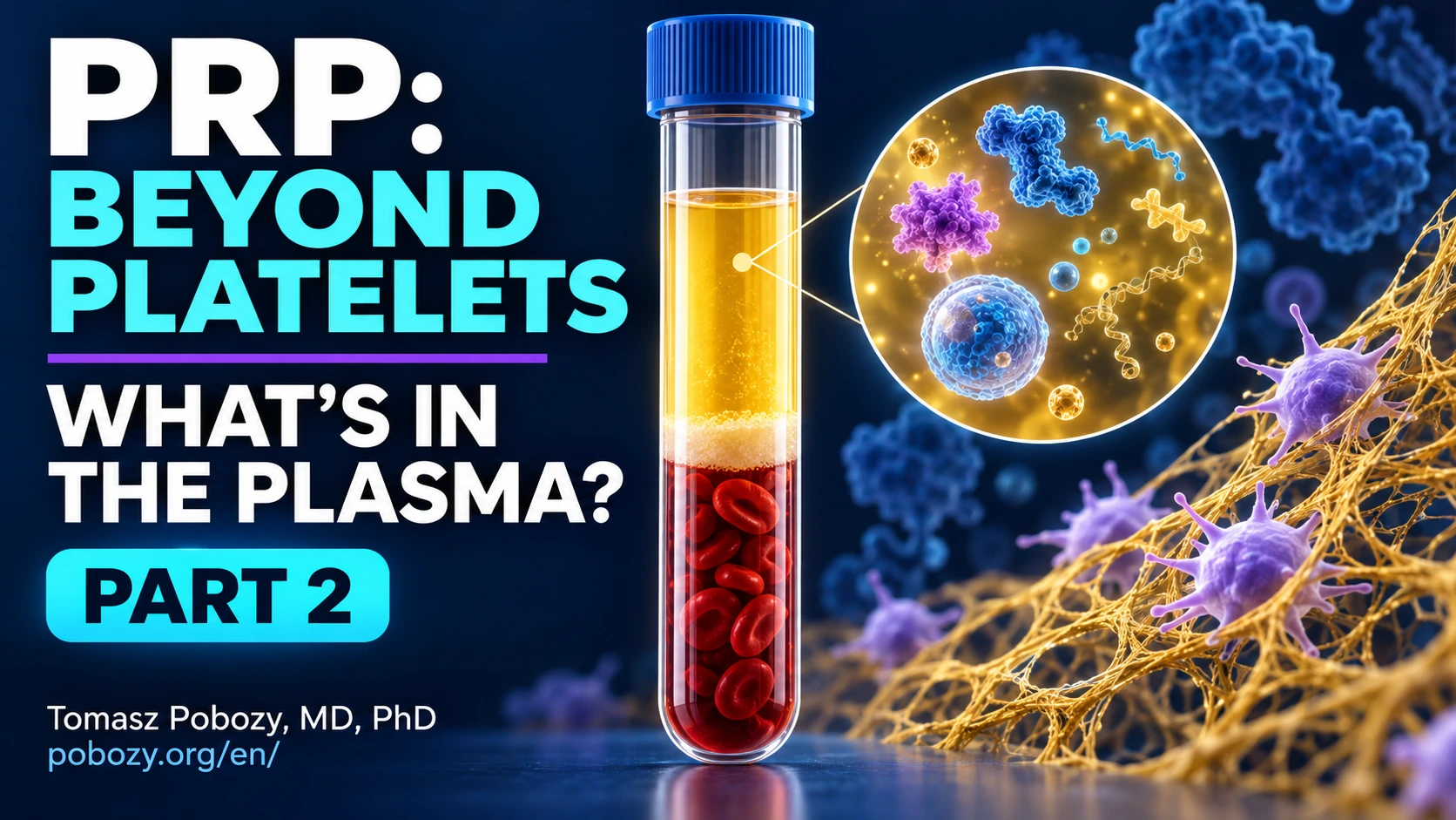PRP beyond platelets — What is in the plasma? Part 2. Medical content prepared by: Tomasz Poboży - orthopaedic surgeon.