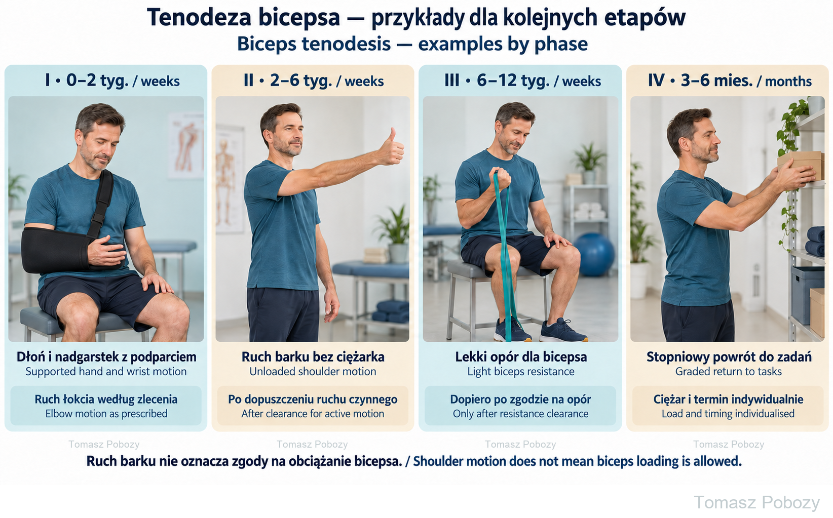 Biceps tenodesis — rehabilitation protocol — examples in all four phases. Prepared by Tomasz Poboży — orthopaedic surgeon.