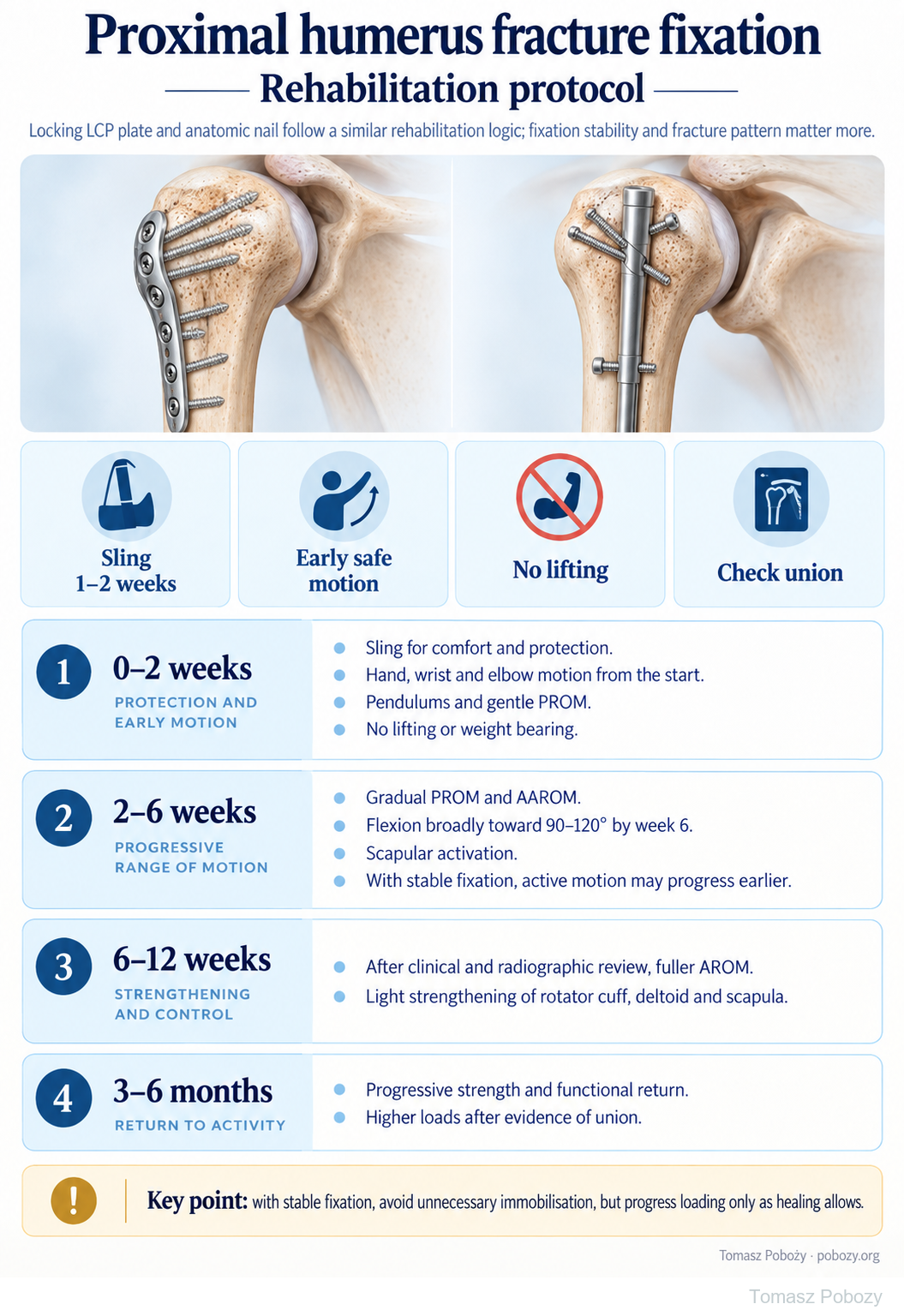 Postoperative rehabilitation: English protocol after proximal humerus fixation with a locking LCP plate or anatomic nail: phases 0–2, 2–6 and 6–12 weeks, then 3–6 months. · board 1/1. Prepared by Tomasz Poboży — orthopaedic surgeon.