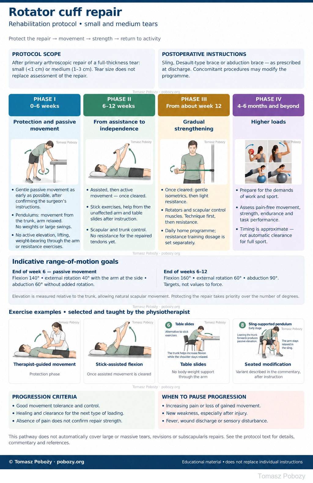 Rotator cuff repair: protocol board for small and medium tears, with four rehabilitation phases, exercise examples, range targets, precautions and progression criteria. Details are explained below. · board 1/1. Prepared by Tomasz Poboży — orthopaedic surgeon.