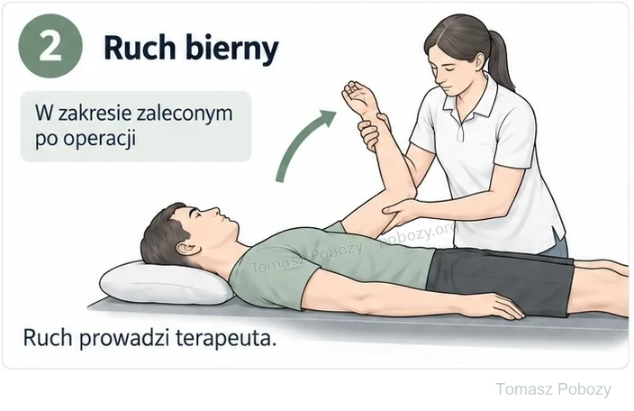 Rehabilitacja pooperacyjna: Fizjoterapeutka prowadzi podpartą kończynę pacjenta leżącego na plecach. Opracował Tomasz Poboży — ortopeda.